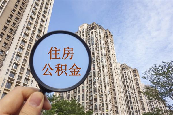 漯河公积金当天取出（公积金当天取当天能到账吗）